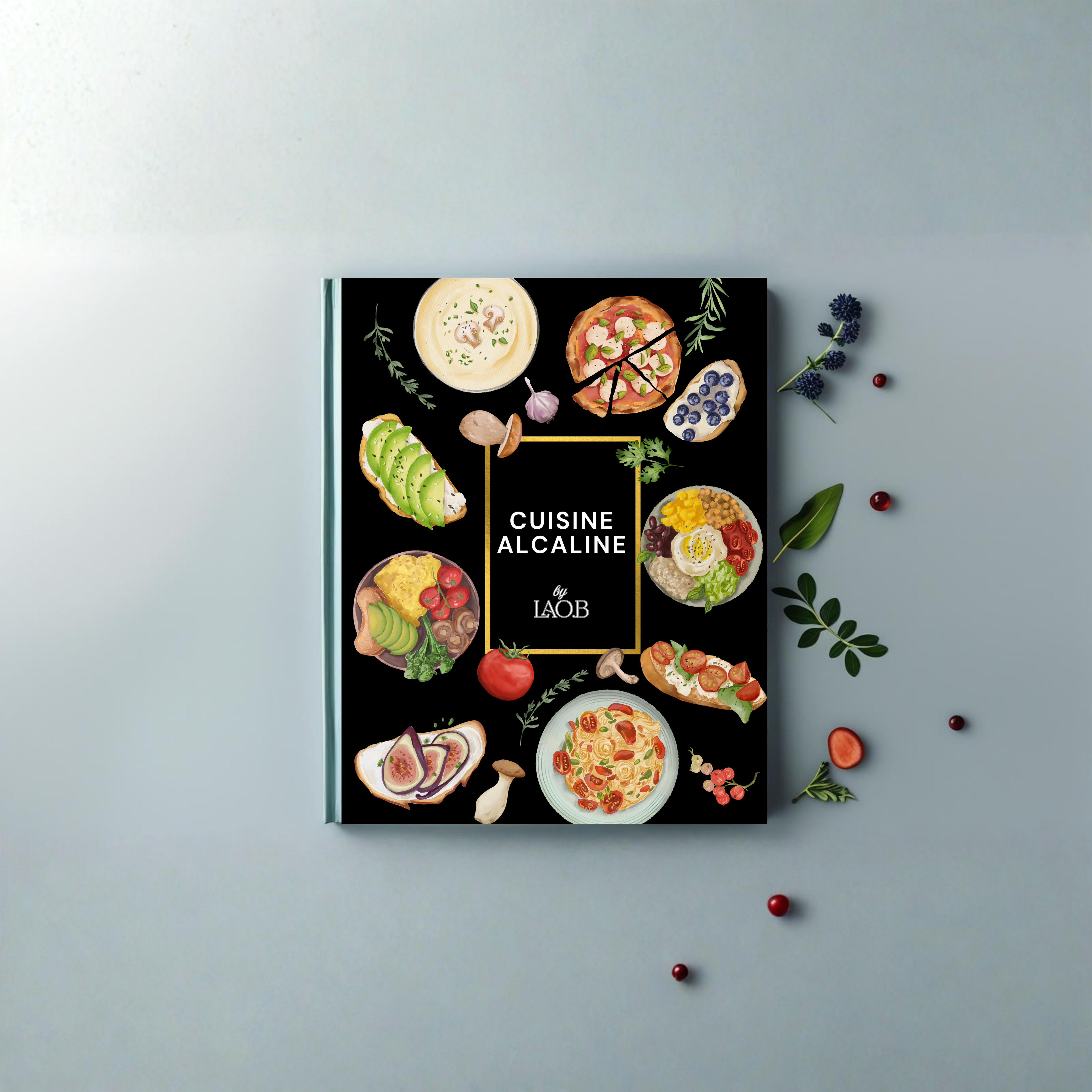 Livre de Recettes - Cuisine Alcaline